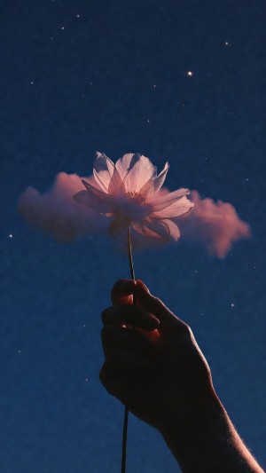 Silhouette holding a glowing flower against a starry night sky